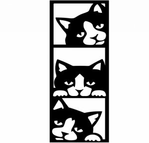 3 CATS